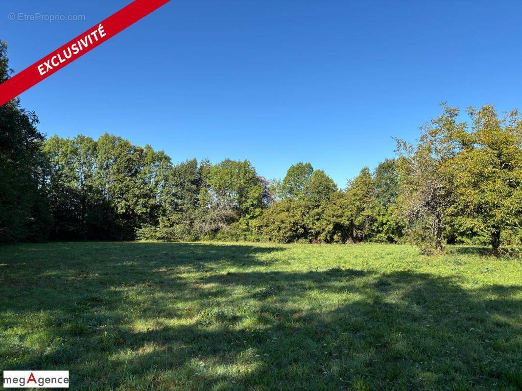 Terrain à SAINT-GERMAIN-LES-VERGNES