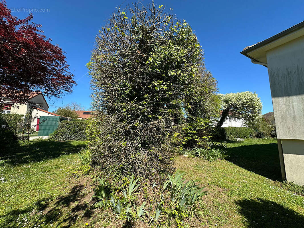 Maison à VILLEDIEU-SUR-INDRE