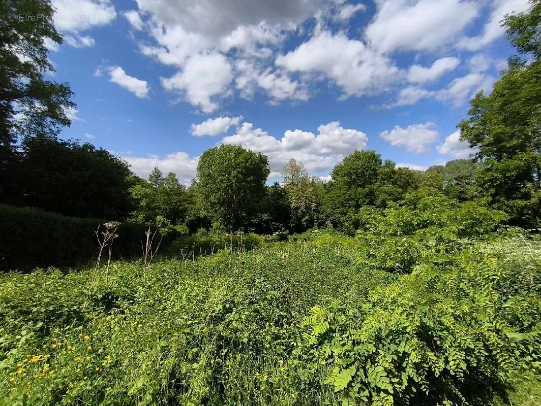 Terrain à VALLANGOUJARD