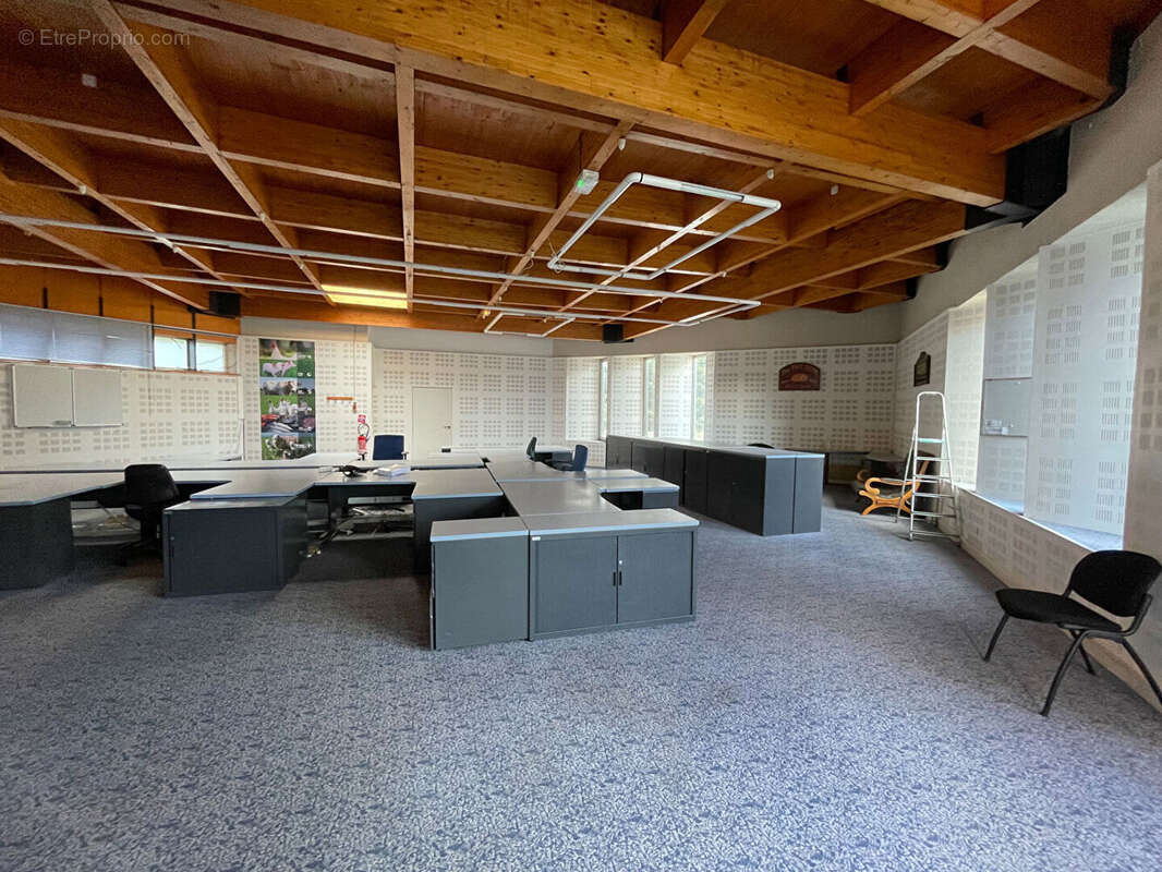 Commerce à SAINT-MARTIN-DES-CHAMPS