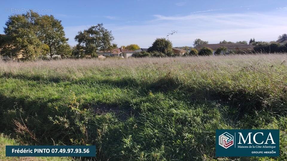 Terrain à SAINT-PERDON