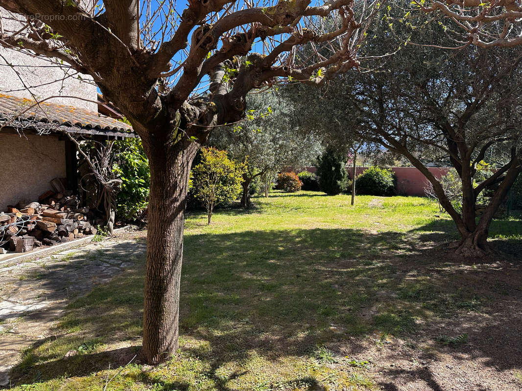 Maison à CARCASSONNE
