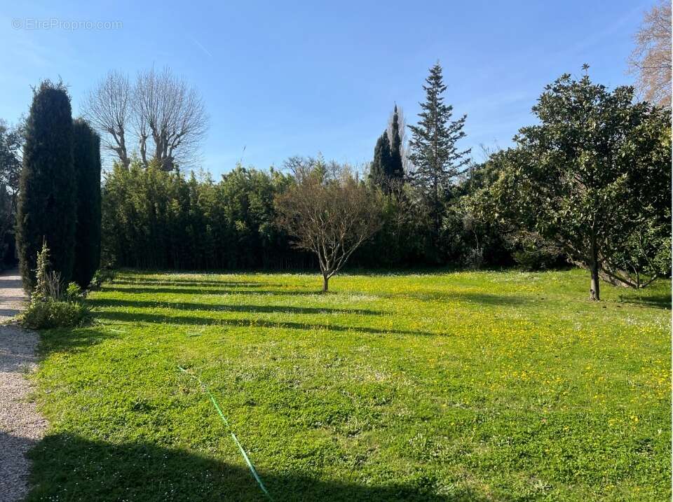 Terrain 950 m² à Vernegues  - photo 3