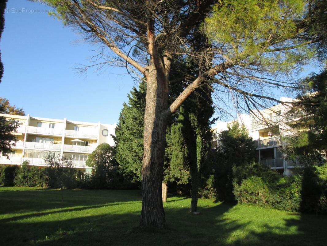 Appartement à AVIGNON