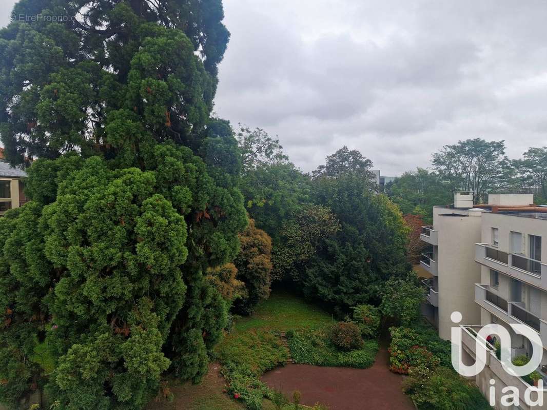 Photo 2 - Appartement à NOGENT-SUR-MARNE