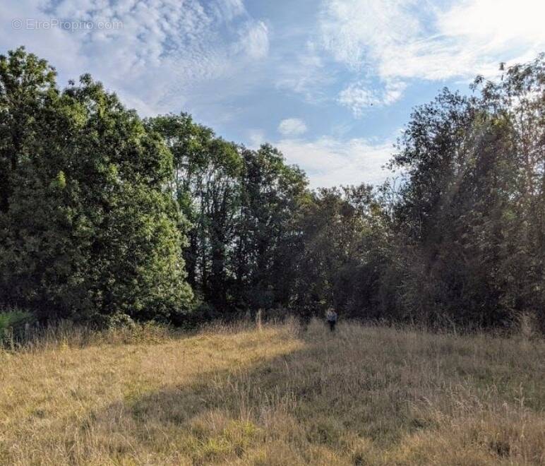 Terrain à HAUSSY
