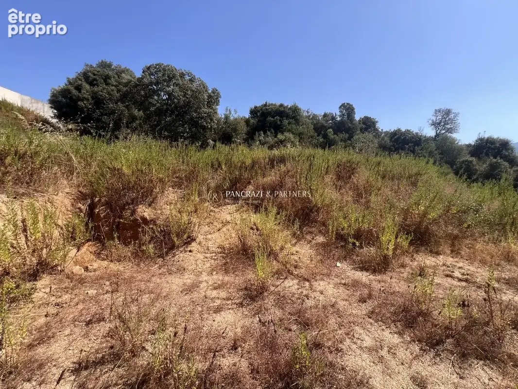 Terrain 1 387 m² à vendre à Bastelicaccia (20129) - photo 2