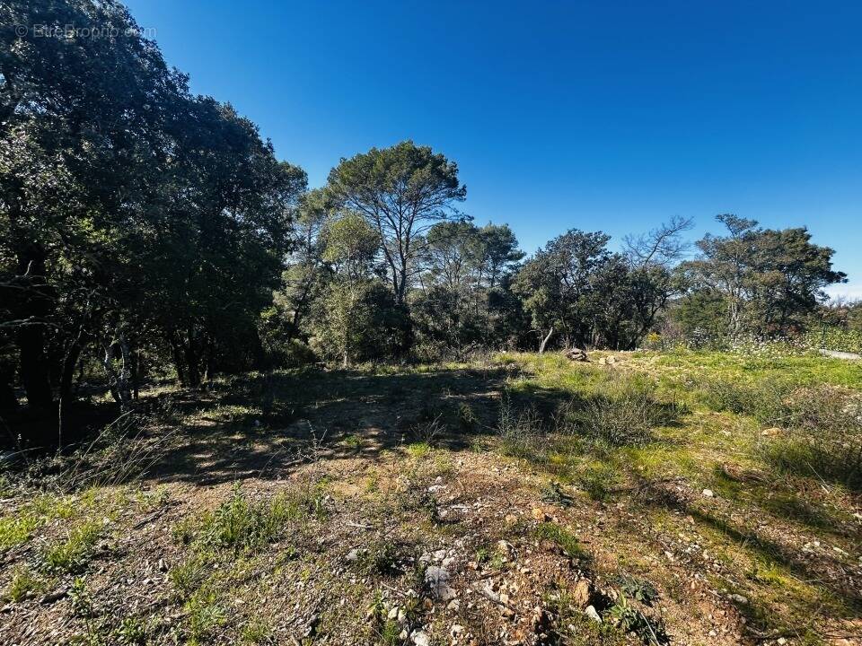 Terrain à LE THORONET