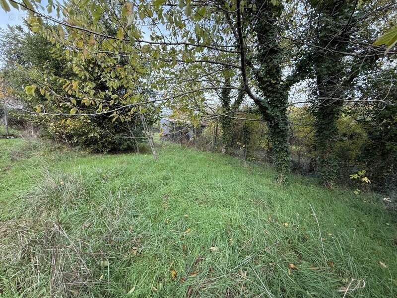 Maison à MAGNAC-SUR-TOUVRE