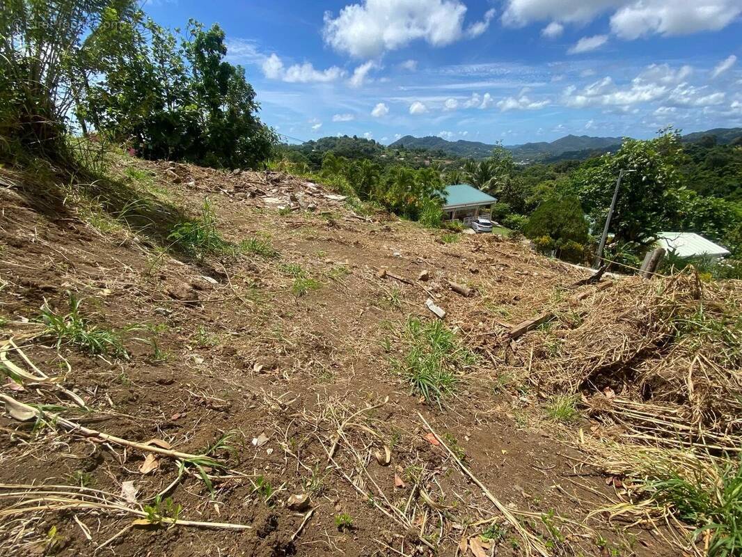 Terrain à LE VAUCLIN