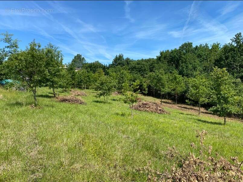 Terrain 1857 m² à Montauban  - photo 2