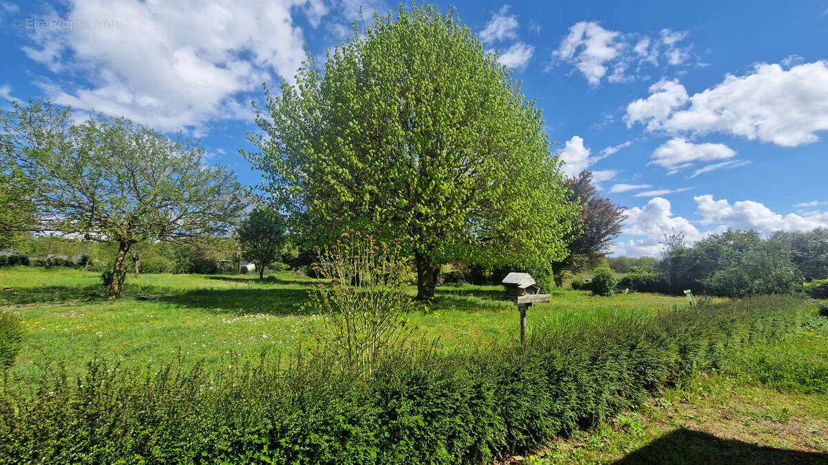 Maison à LE PUY-NOTRE-DAME