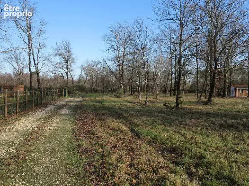 Terrain de 6155 m² dont 1600 m² de constructible - photo 12