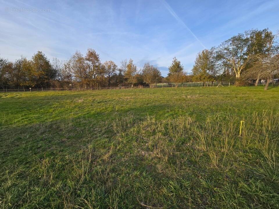Terrain à LA FORCE