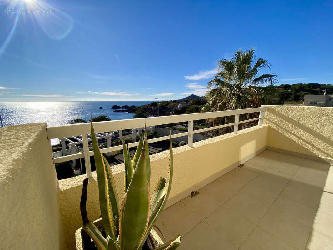 Appartement à LA SEYNE-SUR-MER