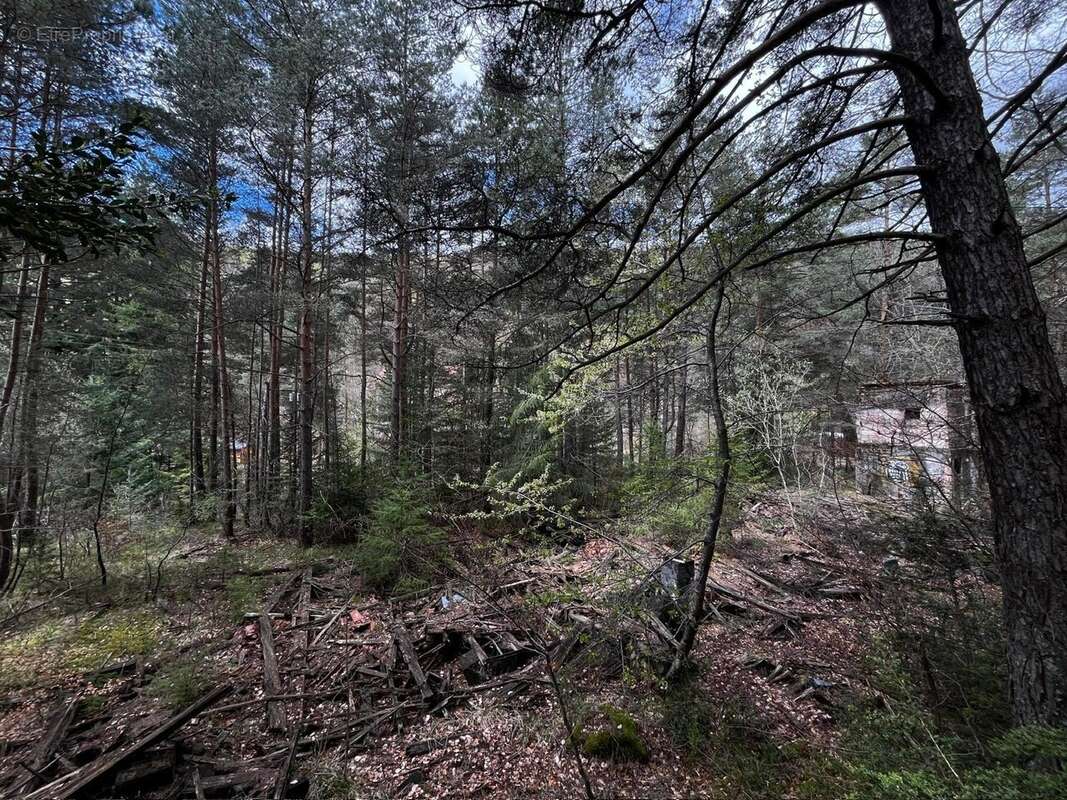 Terrain à SAINT-SAUVEUR-CAMPRIEU