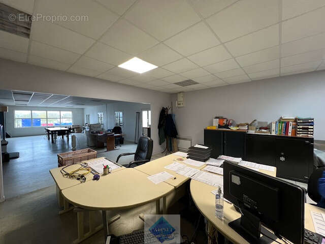 LOCAUX PRO de 5000m2 sur parcelle de 9000m2 - photo 18