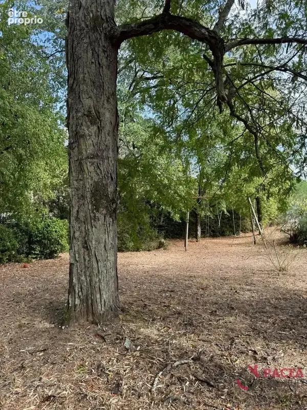 Plateau St Jean - maison individuelle avec grand terrain - photo 19