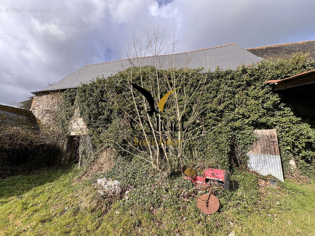 Maison à SAINT-PERE