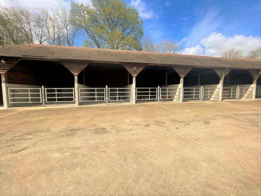 Maison à MORTAGNE-AU-PERCHE