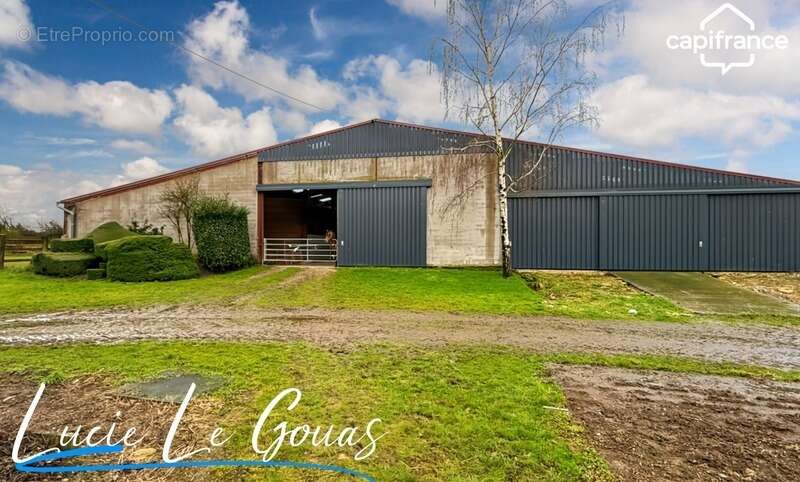 Ferme équestre - photo 22