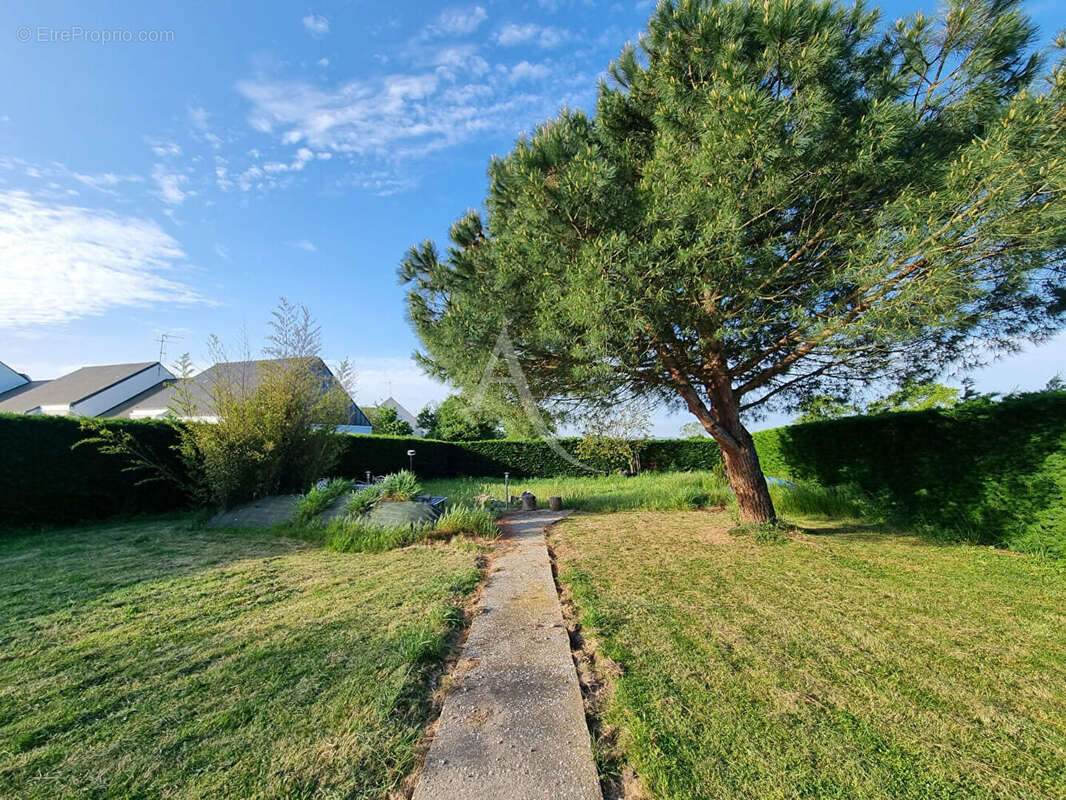 Terrain à CHAMPTOCE-SUR-LOIRE