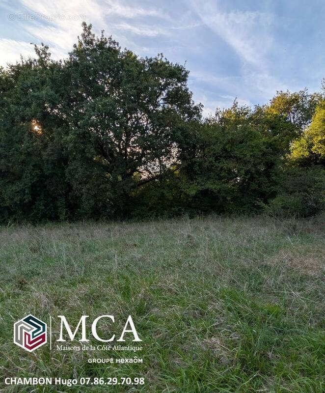 Terrain à COLAYRAC-SAINT-CIRQ
