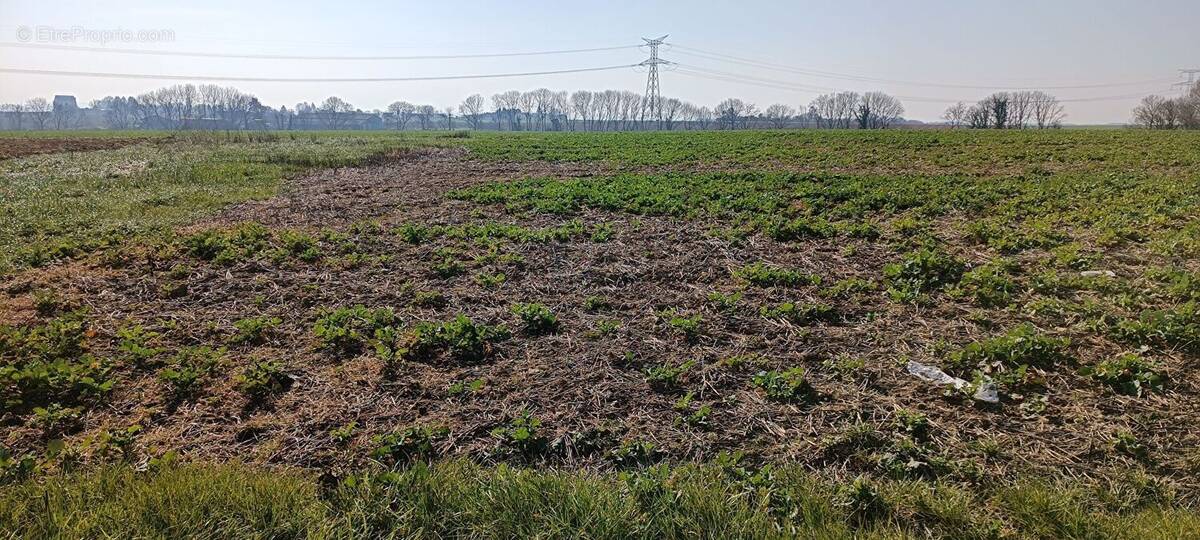 Terrain à LE DELUGE