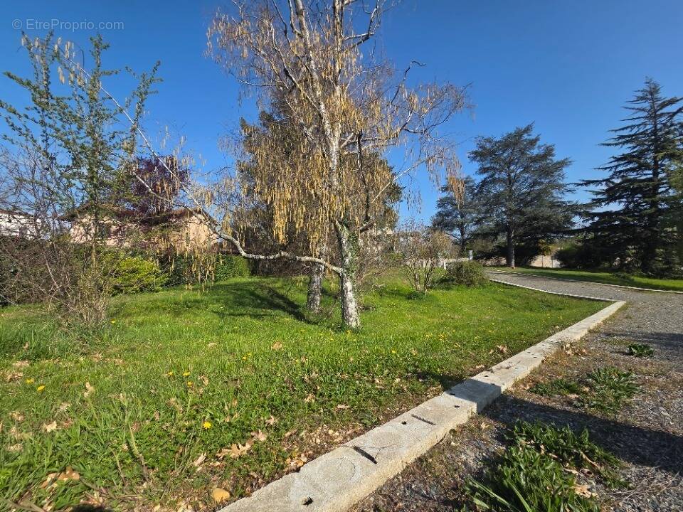 Terrain à DOMMARTIN