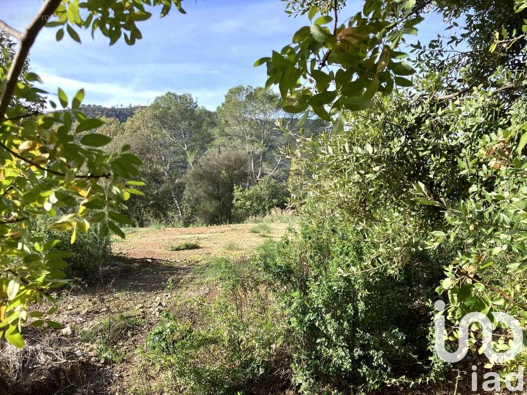 Photo 9 - Terrain à LE TIGNET