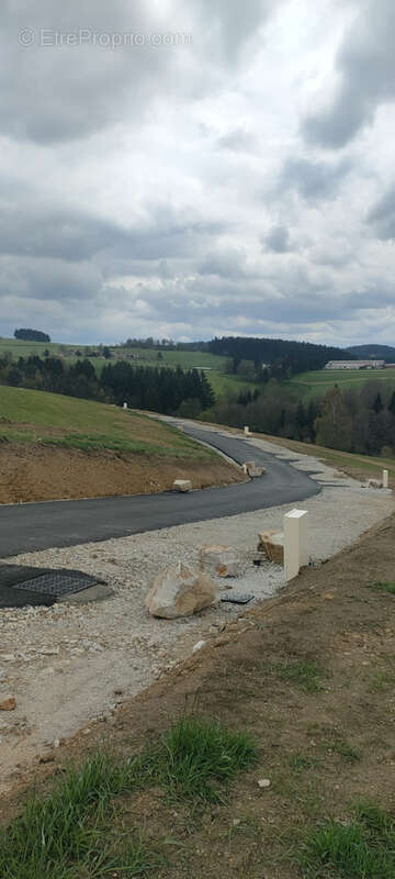Terrain à SAINT-ROMAIN-LES-ATHEUX