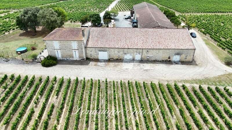 Exclusivité À VENDRE Vignoble Cru Bourgeois Médoc Vue exceptionnelle - photo 4