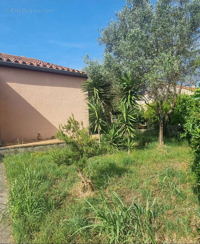 Maison à ARGELES-SUR-MER