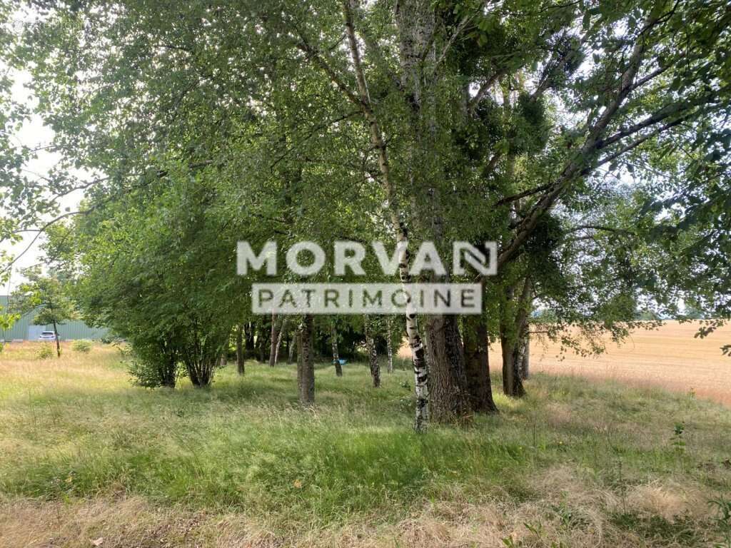 Maison du bazois - batiment sur 2 niveaux 294 m2 - parking et terrain 4017 m2 - photo 22