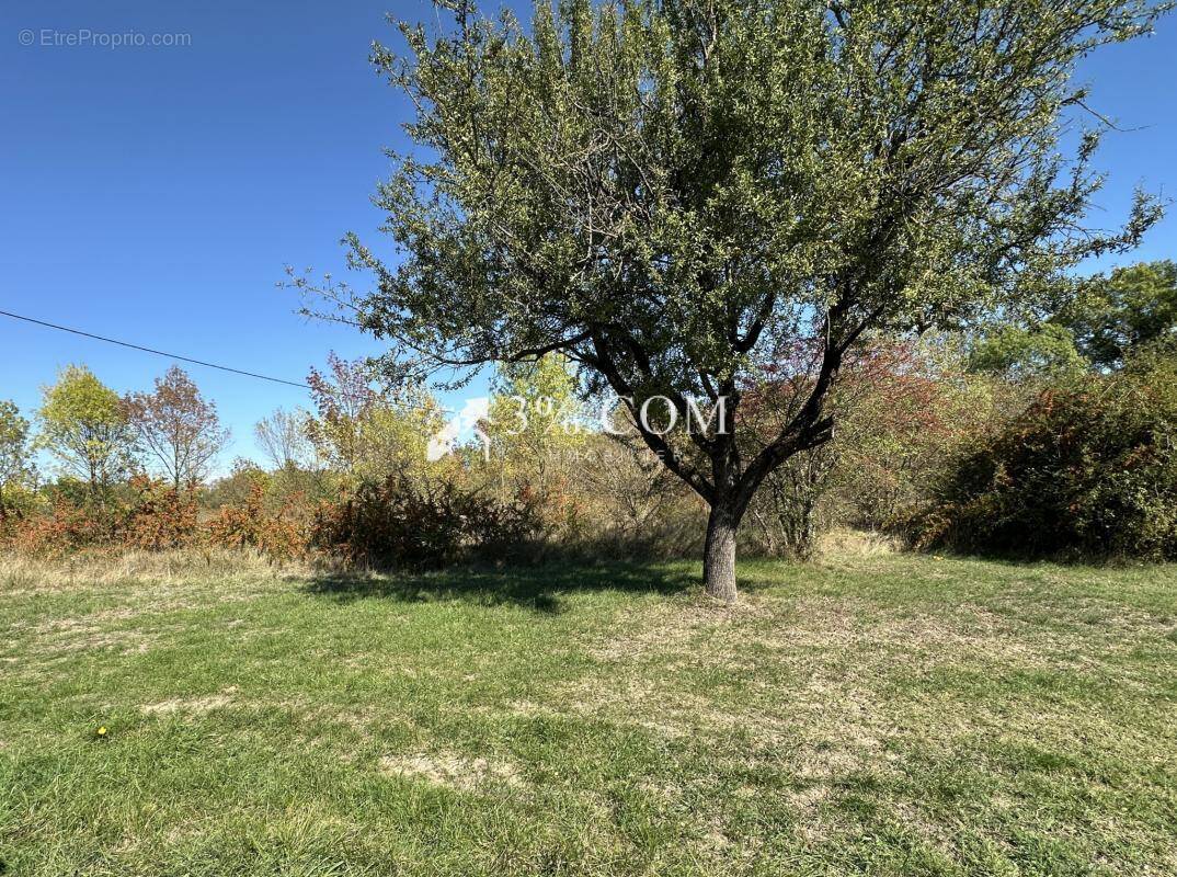 Terrain à SALINDRES