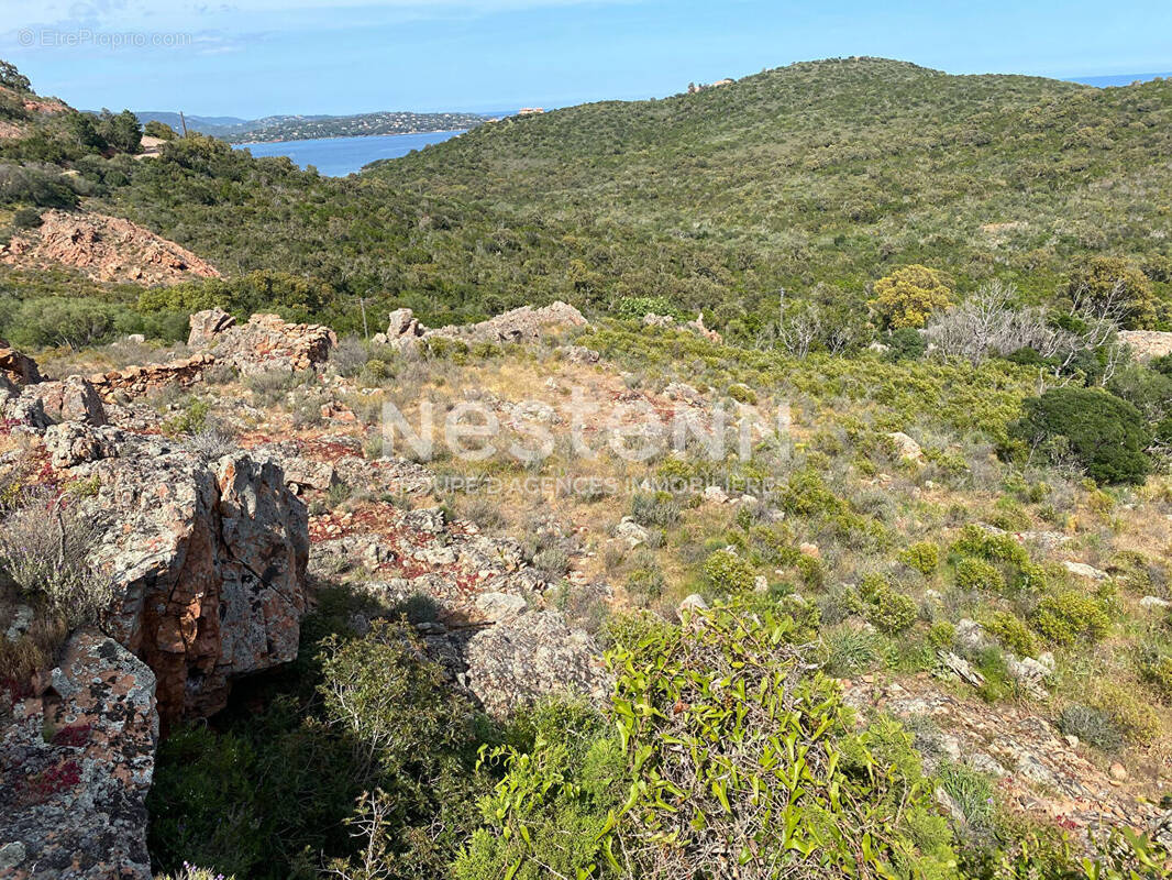 Terrain à PORTO-VECCHIO