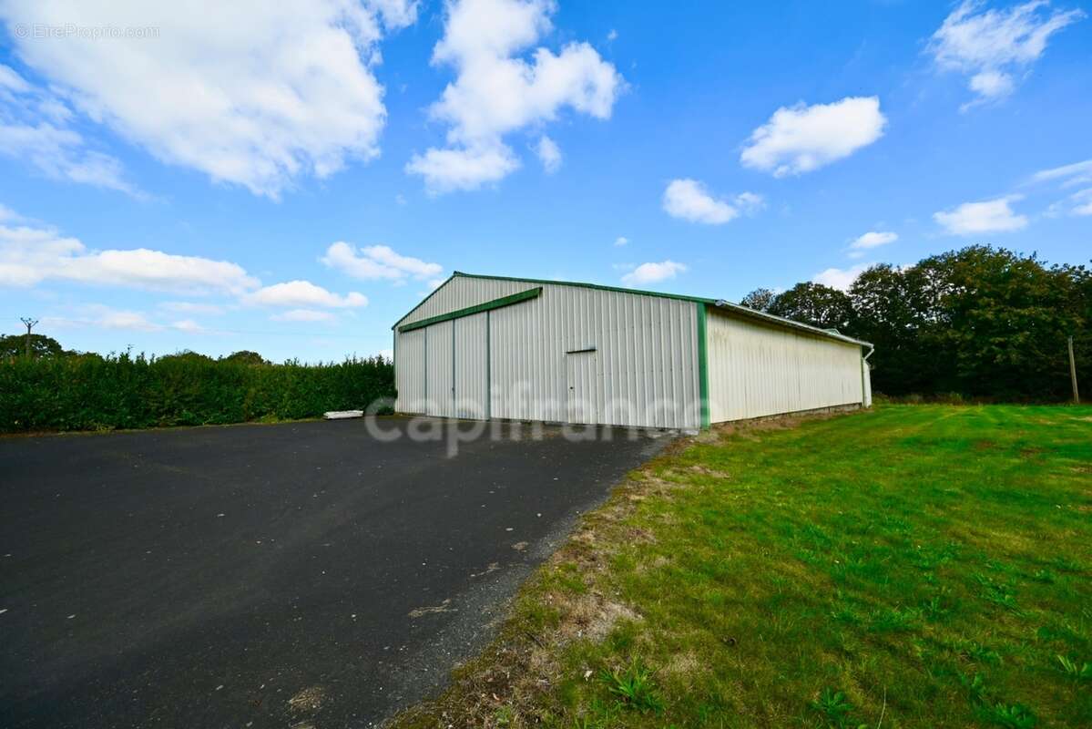 Maison en pierres 10 pièces + Hangar de stockage, proche Lannion - photo 30