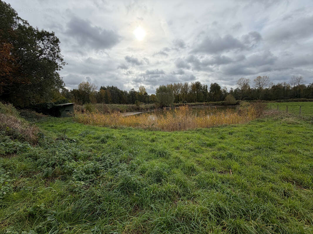 Terrain à WANDIGNIES-HAMAGE