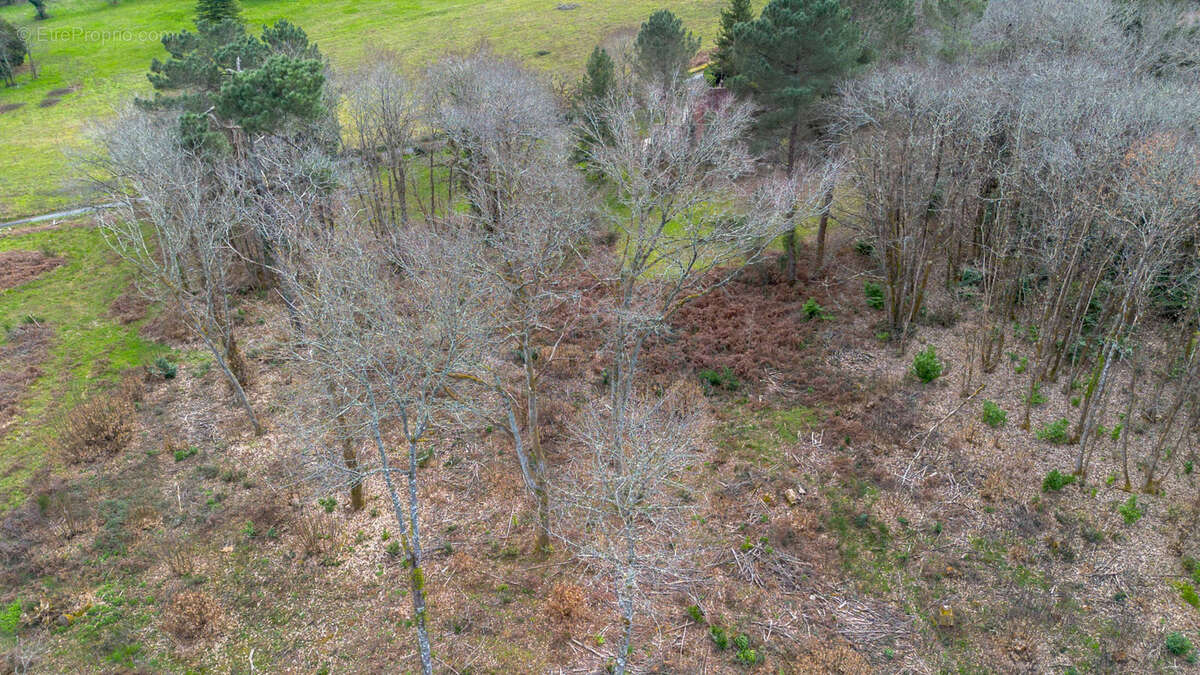 Terrain à CARSAC-AILLAC