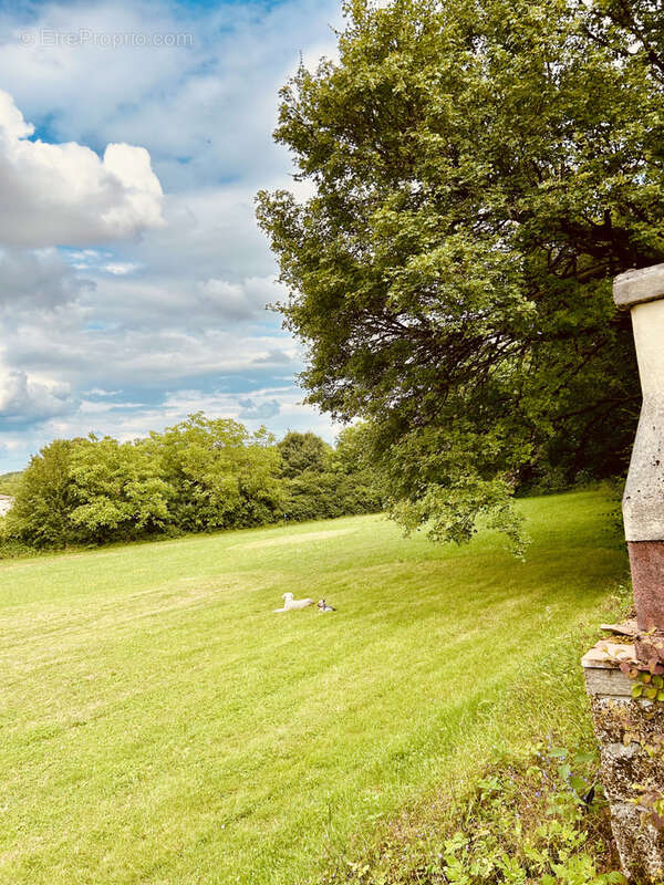 Maison à MONTAIGU-DE-QUERCY