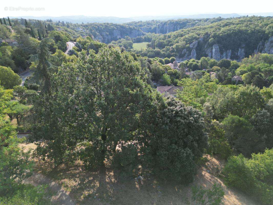 Terrain  constructible à vendre de 2 488 m² - photo 11