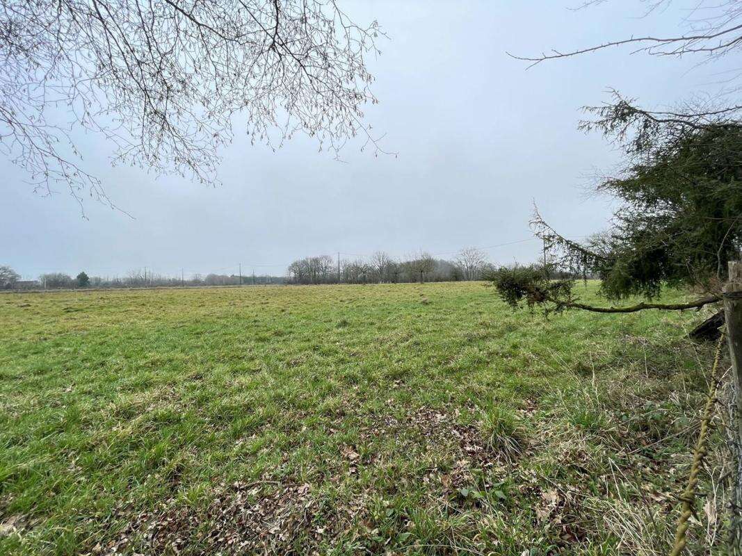 Maison à BELLOU-LE-TRICHARD