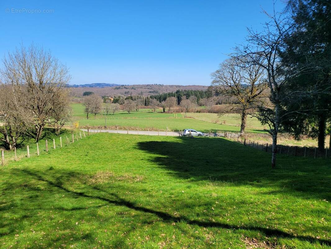 Terrain à SAUVIAT-SUR-VIGE