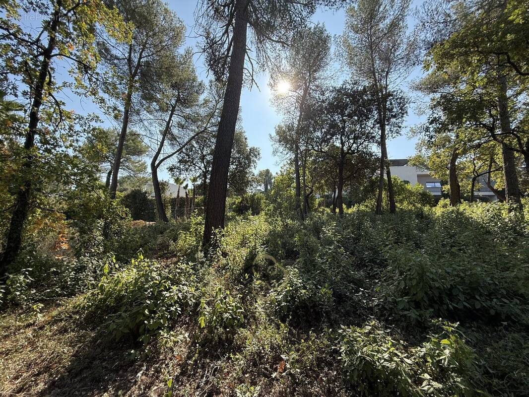 Terrain à COMBAILLAUX