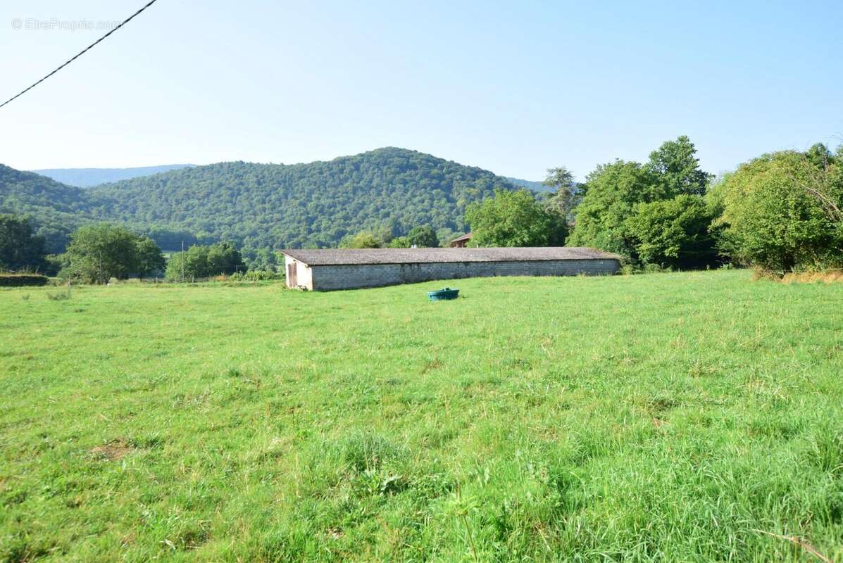 DSC_0512 - Terrain à SALIES-DU-SALAT