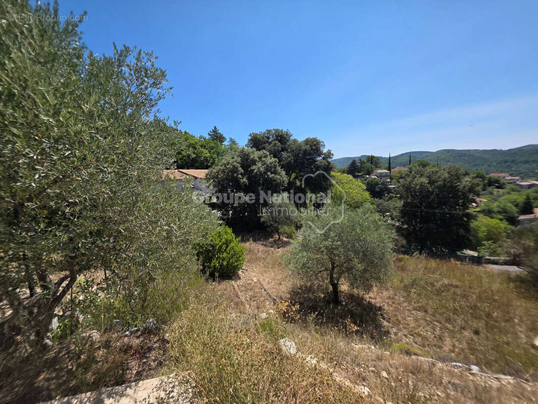 Greoux les bains  maison plain pied avec terrain de 2500m². - photo 8