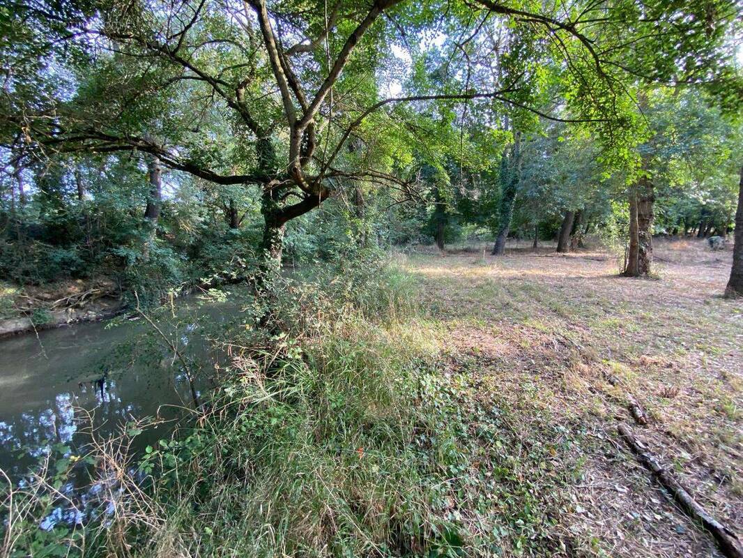 Terrain à TOULOUSE