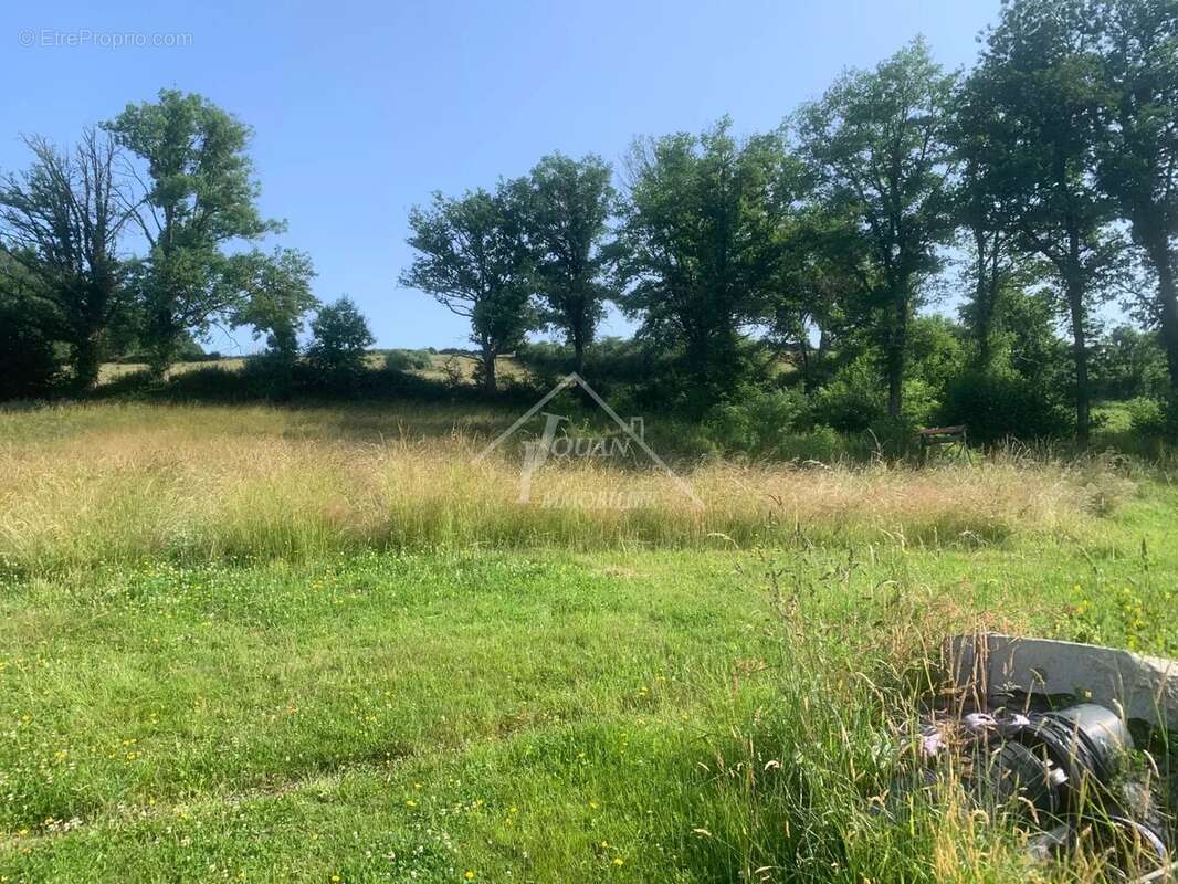 Maison de campagne sur 1 hectare - photo 31