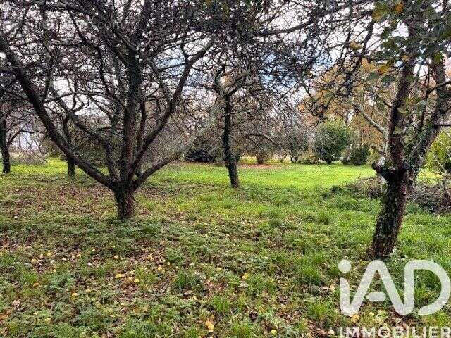 Photo 4 - Terrain à PLOZEVET