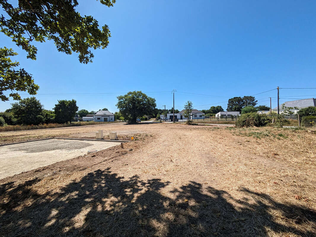 Terrain à SAINT-DOLAY